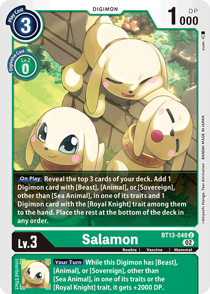 Salamon, BT13-048