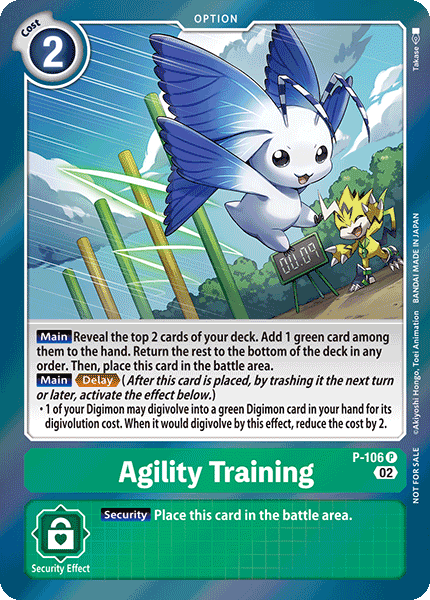 Agility Training, P-106