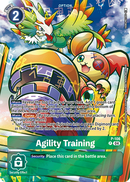 Agility Training, P-106-p2