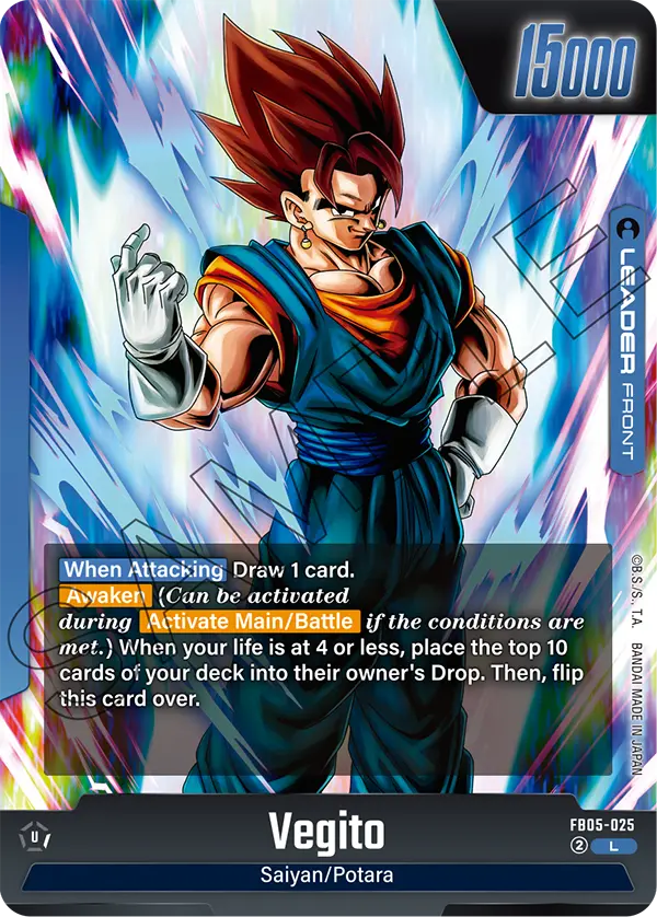 Vegito, FB05-025