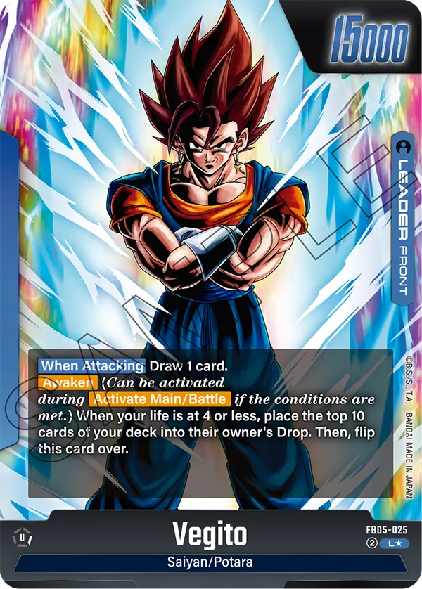 Vegito, FB05-025-p1