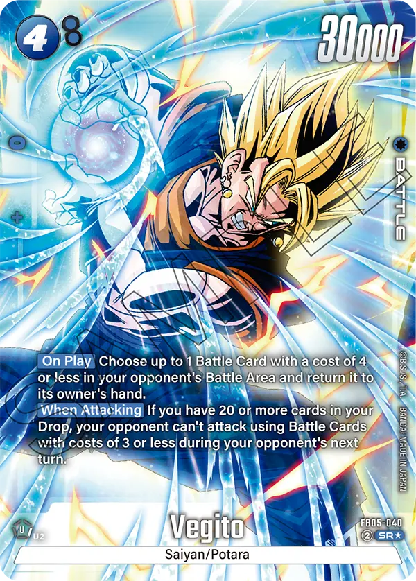 Vegito, FB05-040-p1