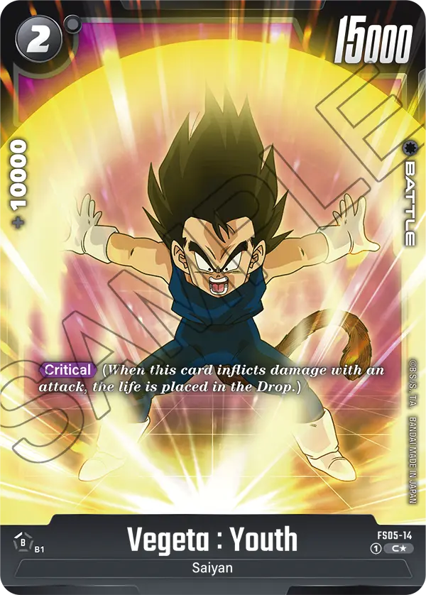 Vegeta : Youth, FS05-14-p1