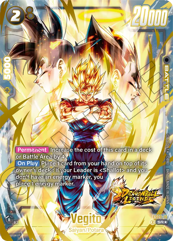 Vegito, FS09-16-p1